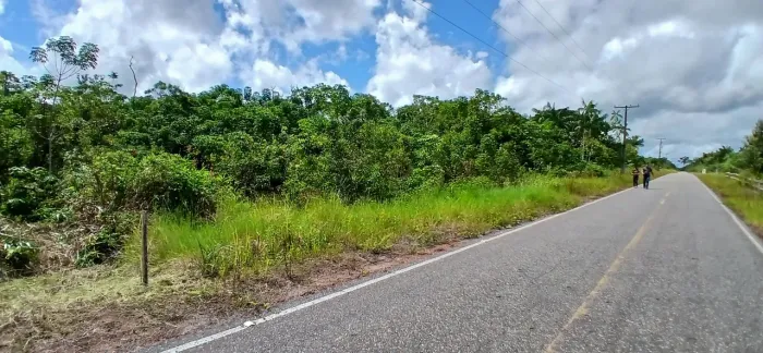 Vendo terreno 10.000m². Frente asfalto. CAREIRO-CASTANHO