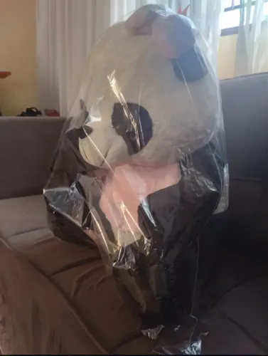 Urso de pelúcia menina novíssimo médio