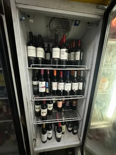 Expositora 500l freezer Gelando super bem. Menor preço!