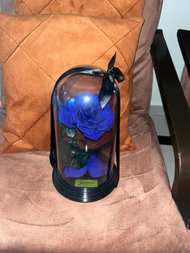 Rosa Encantada Azul Original Giuliana Flores - Preservada em Cúpula