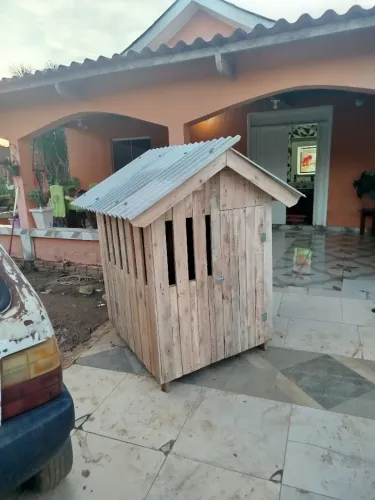 Casas pra cachorro 