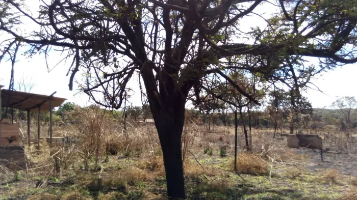 VENDO OU TROCO LOTE EM LUZIÂNIA 8MIL M²