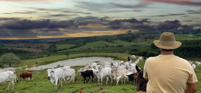 Vaga para Peões de fazenda com experiência- casal sem filho pequeno