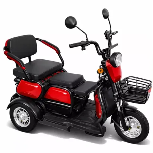 Triciclo Elétrico 600w 32km/h Sem CNH Autonomia de 40Km Suporta até 250kg - E035452