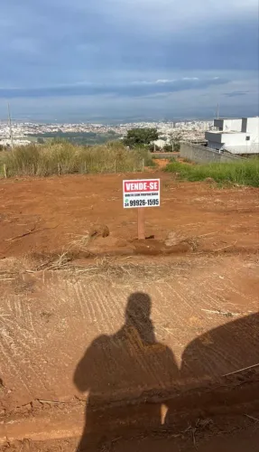 Lote patos de minas 