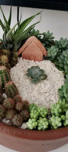 Terrário