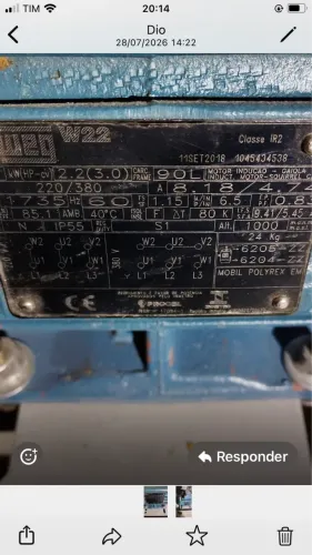 Motor 3cv