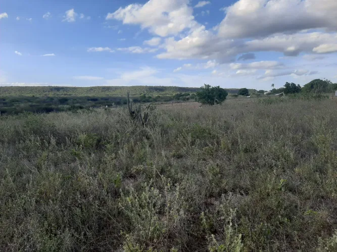Lote de sítio em Picuí-PB (Serra Quebrada)