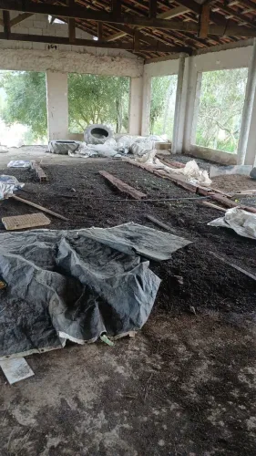 Fertilizante orgânico humus de minhoca