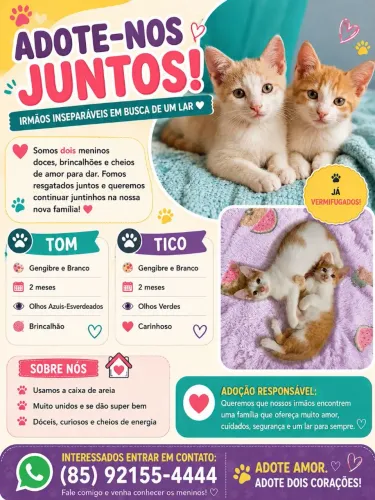 Doação conjunta responsável