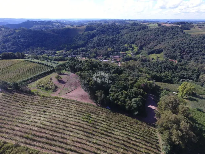 Terreno com 20.000 m² - Linha Palmeiro, Pinto Bandeira/RS