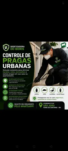 Dedetização