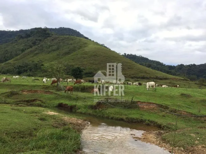 FAZENDA PRODUTIVA COM 151,95 HECTARES, EXCELENTE ESTRUTURA, DOCUMENTAÇÃO 100% REGULARIZADA