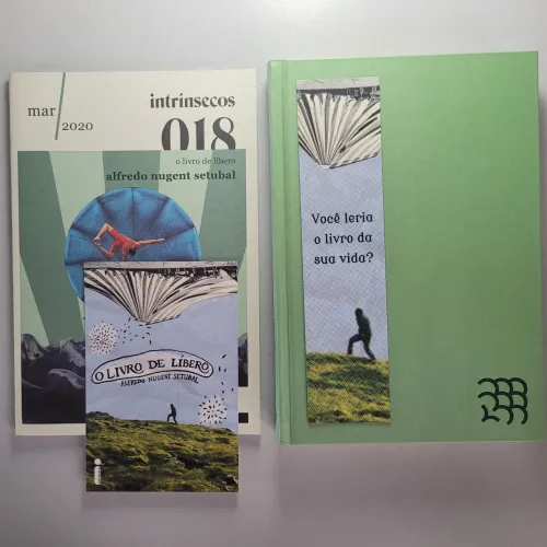 Livro O Livro de Líbero - Clube Intrínsecos 018