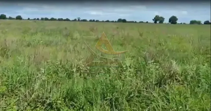 Fazenda - Jussara - Zona Rural