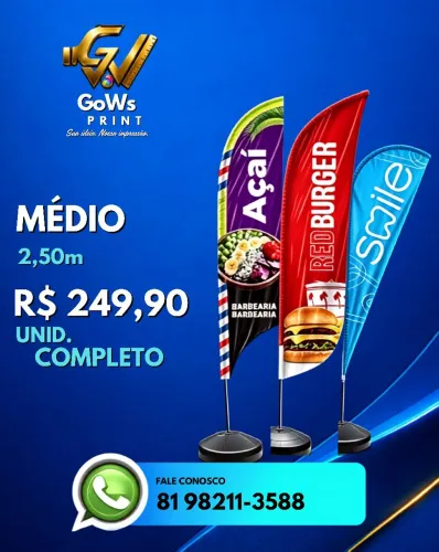 WindBanner 2,50M 249,90