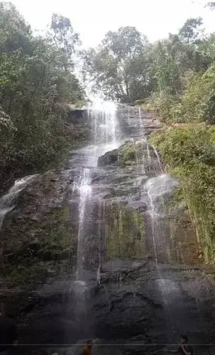 fazenda de 159 hectares em Buritis, Minas Gerais