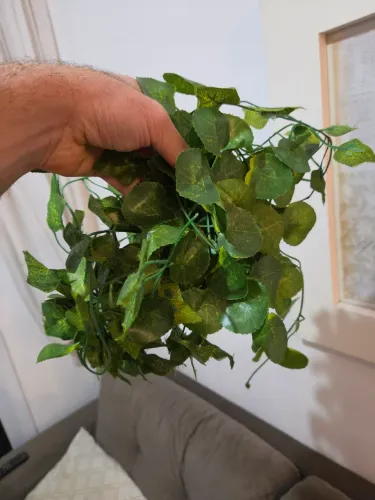 Planta falsa de plastico