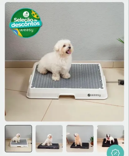 weasy dog para cachorros 