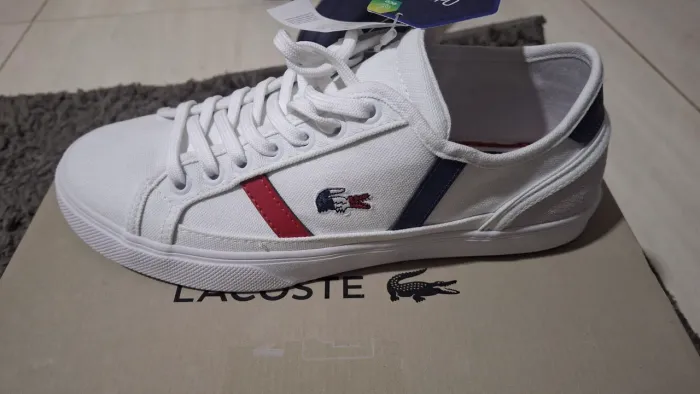 Tenis lacoste original 