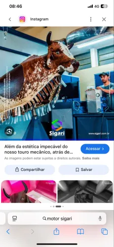 Mecânica completa de Touro mecânico 