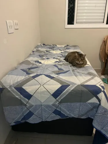 Cama baú + colchão solteiro Sakofa