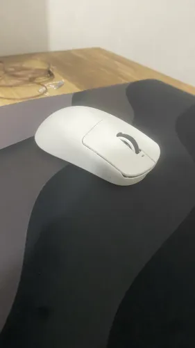 Mouse VXE R1 SE