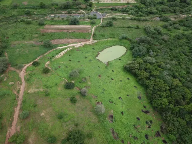 fazenda com 212.7 hectares na região de São Paulo do Potengi cortada pelo rio Potengi