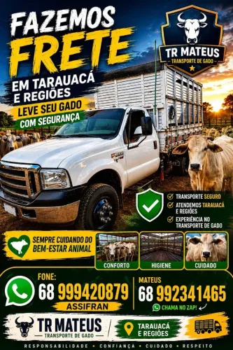 VENDE - SE F4000 4x4