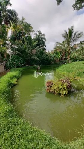 Chácara 4.000 m² com Lagoa, Riacho e Casa Duplex 4 Quartos em São João de Jaboti, Guarapar