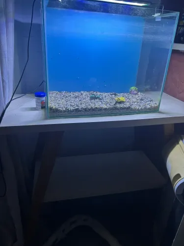 Aquário + Bancada