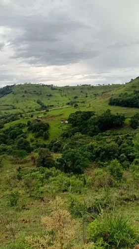 Vendo sítio 24 alqueires
