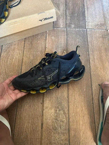 Mizuno prophecy 13