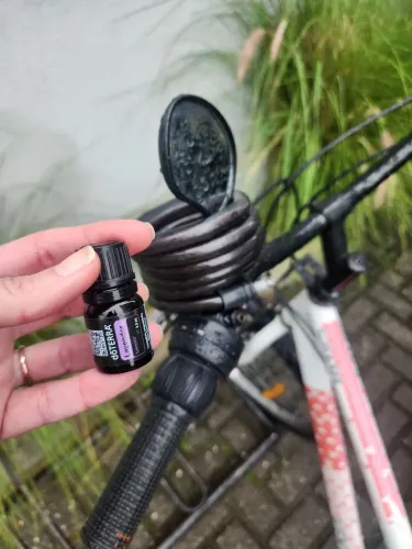 Bicicleta Caloi Ventura 21 marchas + Óleo DoTerra 5ml