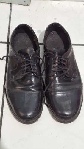 Sapato Social tamanho 44