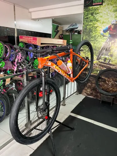 Bicicleta aro 29