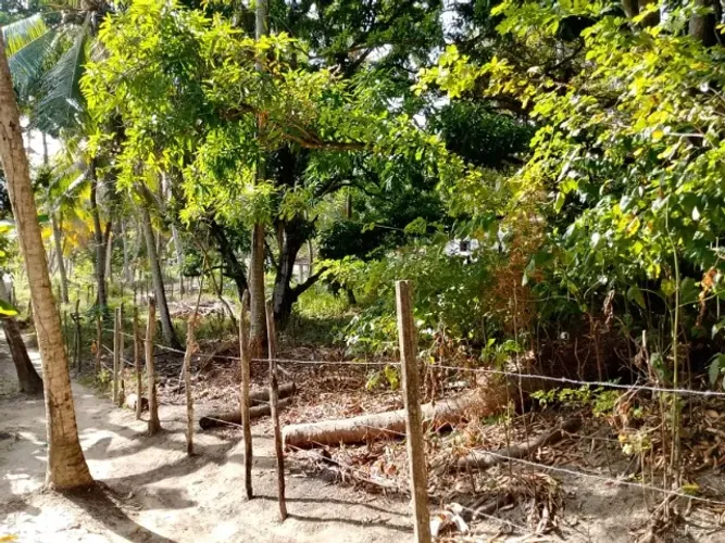 Sítio de 6.000 m² à venda em Ipioca - Maceió/AL  Título do anúncio: Sítio 6.000 m² em Ipio