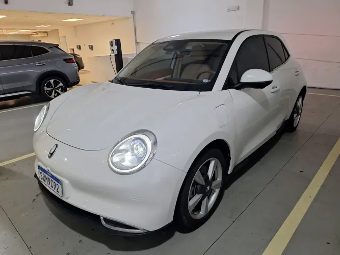GWM Ora 03 Skin (elétrico) 2024