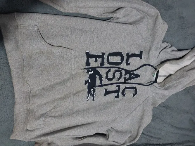 Blusa lacoste Letreiro