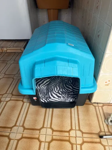 Casa cachorro 5