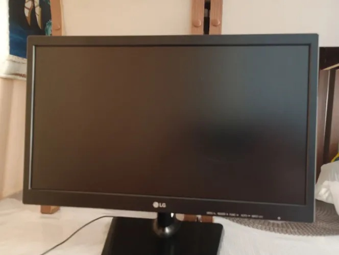 Monitor LED LG 15,6 polegadas