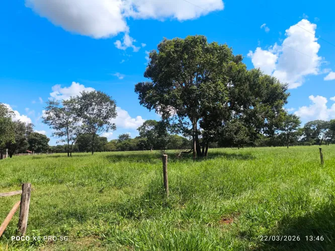 Fazenda/ Terreno rural