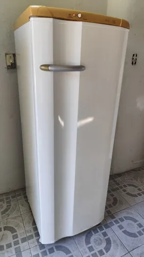 Vendo geladeira Electrolux funcionando perfeitamente faço entrega 