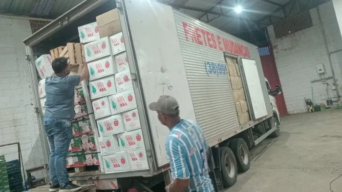 Mudanças viagens frete 