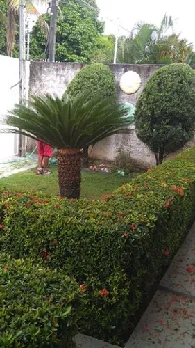 Trabalhamos no seu jardim!!!