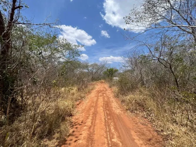 Área rural á venda no sul do Piauí com 2.179 hectares, a 78 km da cidade de Bom Jesus.