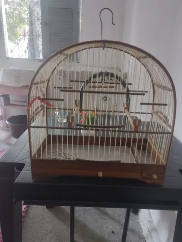 Vende se está Gaiola de fibra 