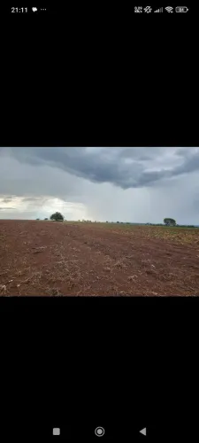 Fazenda arrendamento, Repasse, 160 km de Trivelato MT.1200 hec, 600 plantando