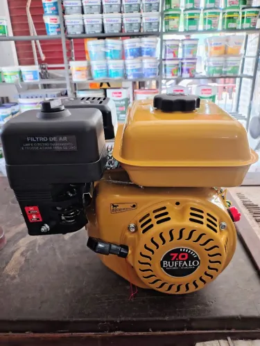 Motor Buffalo 7 cv