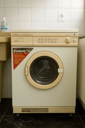 Secadora de Roupas Continental Evolution - 10 kg (110V) 